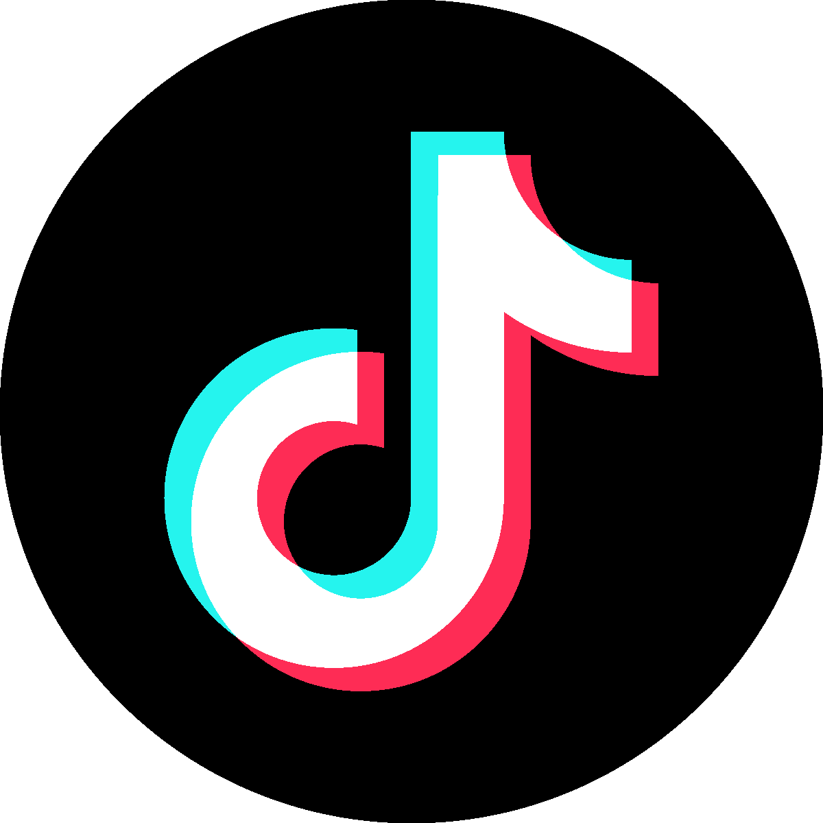 TikTok icon